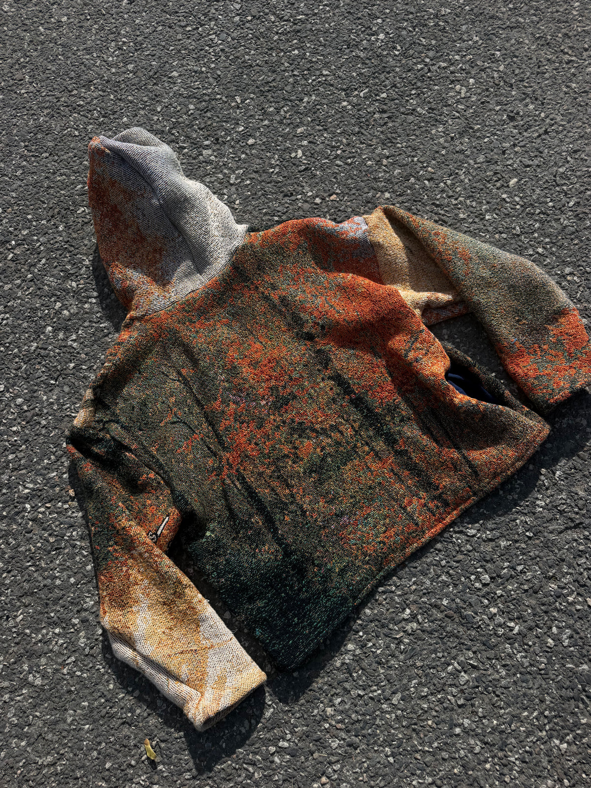 “Take the Scenic Route” Tapestry Hoodie